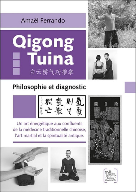 Qigong Tuina - Tome 3  - Amaël Ferrando - Chariot d'Or